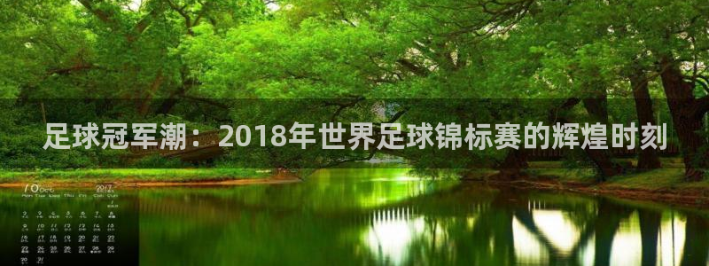 东升app官方入口：足球冠军潮：2018年世界足球锦标赛的辉煌时刻