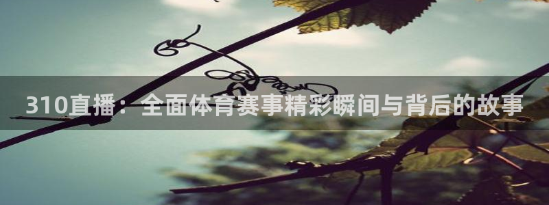 东升国际h5平台怎么样：310直播：全面体育赛事精彩瞬间与背后的故事