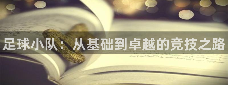 东升国际com官网入口：足球小队：从基础到卓越的竞技之路