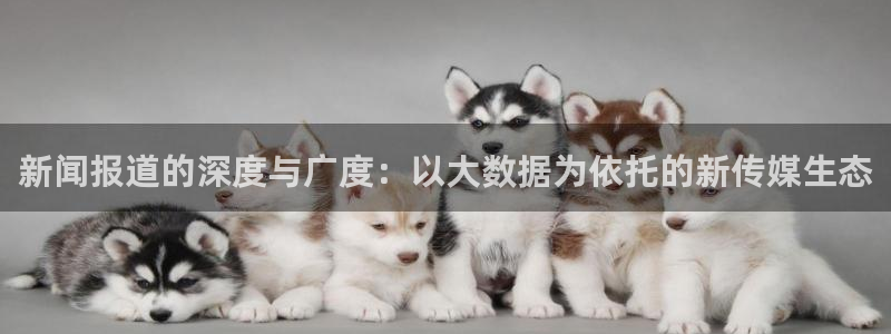 东升国际登录入口在哪：新闻报道的深度与广度：以大数据为依托的新传媒生态