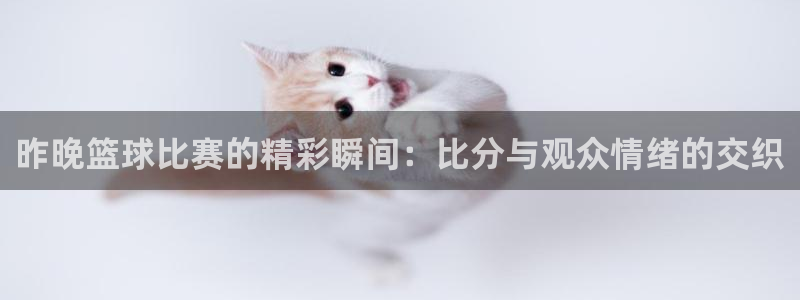 东升国际登录注册入口官网：昨晚篮球比赛的精彩瞬间：比分与观众情绪的交织