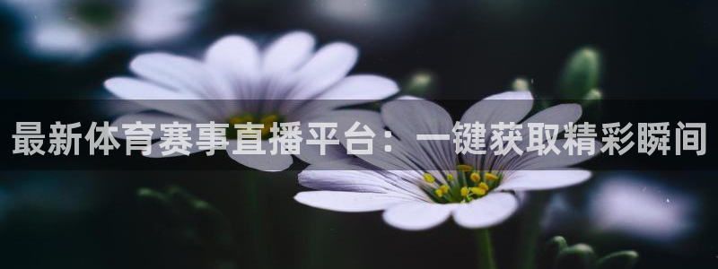 东升国际app下载链接：最新体育赛事直播平台：一键获取精彩瞬间