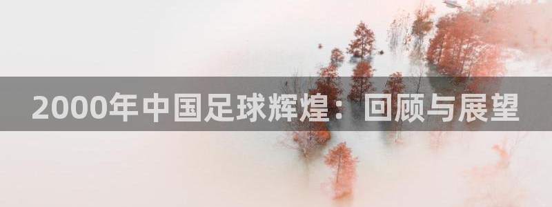 东升国际.www：2000年中国足球辉煌：回顾与展望