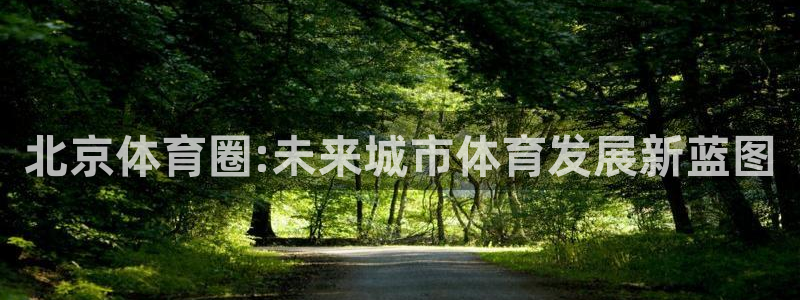 东升国际地址是多少：北京体育圈:未来城市体育发展新蓝图