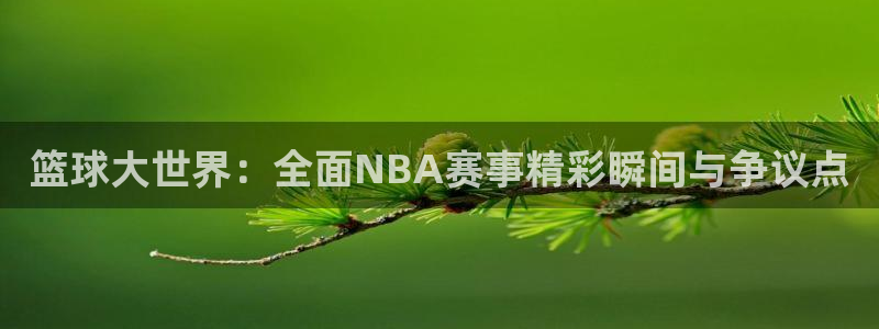 东升国际手机版游戏大厅：篮球大世界：全面NBA赛事精彩瞬间与争议点