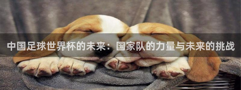 东升国际app：中国足球世界杯的未来：国家队的力量与未来的挑战