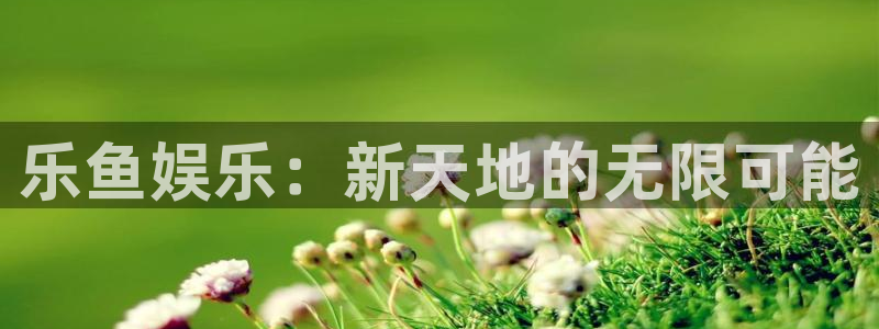 东升国际网站注册：乐鱼娱乐：新天地的无限可能