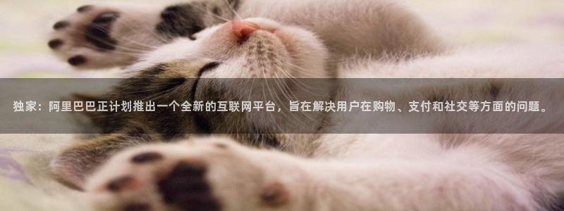 东升国际app官网入口：独家：阿里巴巴正计划推出一个全新的互联网平台，旨在解决用户在购物、支付和社交等方面的问题。