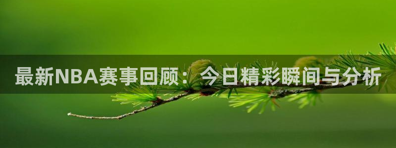 东升国际地址：最新NBA赛事回顾：今日精彩瞬间与分析