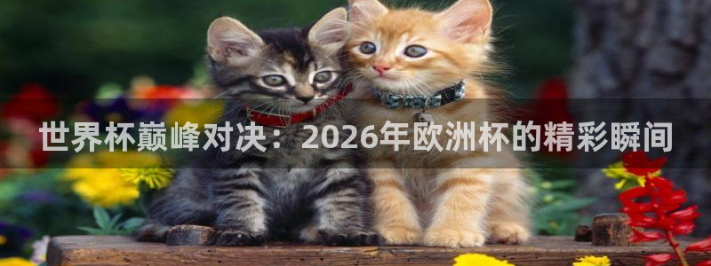 东升国际官网首页登录入口：世界杯巅峰对决：2026年欧洲杯的精彩瞬间