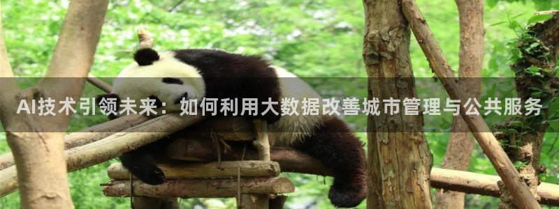 东升国际app登录入口官网东升国际：AI技术引领未来：如何利用大数据改善城市管理与公共服务