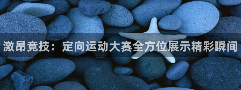 东升国际app在线入口：激昂竞技：定向运动大赛全方位展示精彩瞬间