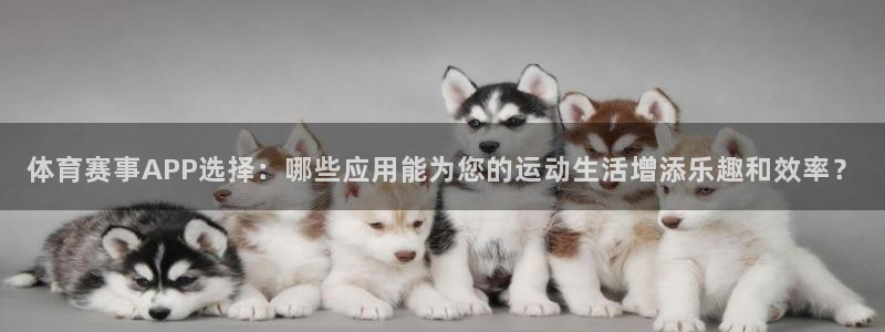 东升国际开户：体育赛事APP选择：哪些应用能为您的运动生活增添乐趣和效率？