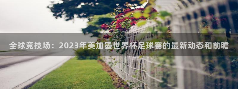 东升国际pg游戏官网入口：全球竞技场：2023年美加墨世界杯足球赛的最新动态和前瞻