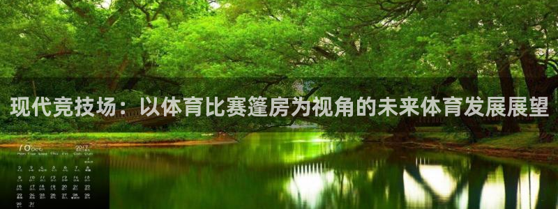 东升国际登录注册入口官网：现代竞技场：以体育比赛篷房为视角的未来体育发展展望