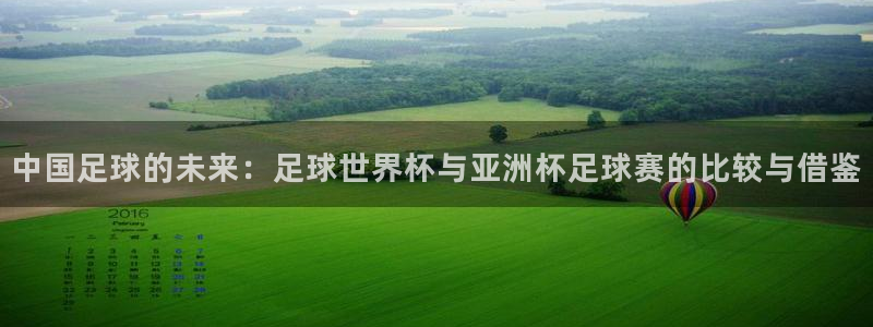 http://东升国际.com：中国足球的未来：足球世界杯与亚洲杯足球赛的比较与借鉴