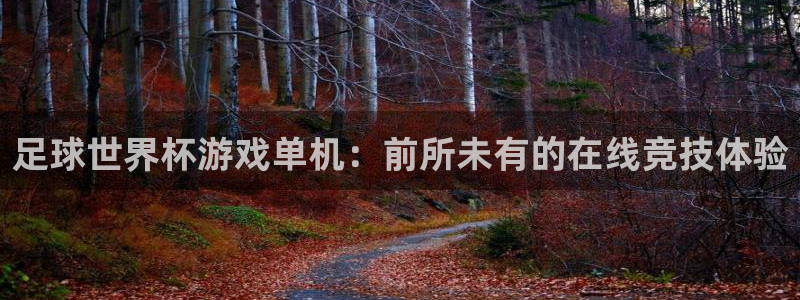 东升国际app官方下载最新版本：足球世界杯游戏单机：前所未有的在线竞技体验