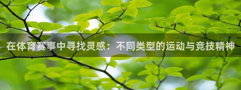 东升国际登录注册：在体育赛事中寻找灵感：不同类型的运动与竞技精神