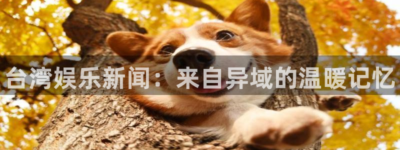 ds6cc东升国际官网入口：台湾娱乐新闻：来自异域的温暖记忆