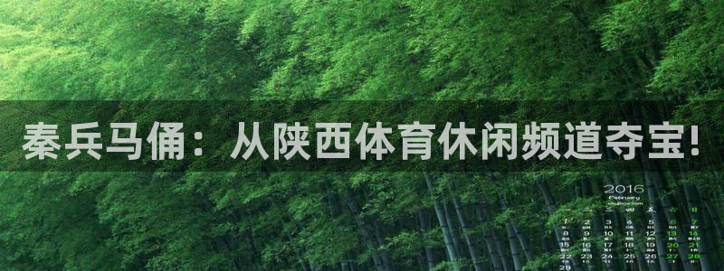 东升国际app登录入口官网东升国际：秦兵马俑：从陕西体育休闲频道夺宝!