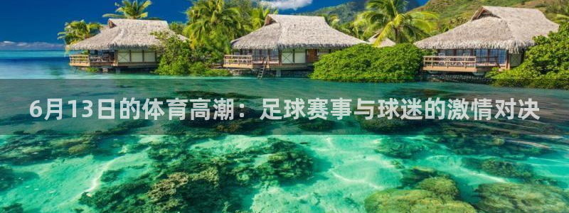 东升国际下载链接www：6月13日的体育高潮：足球赛事与球迷的激情对决