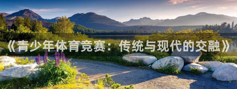 东升国际平台app官网：《青少年体育竞赛：传统与现代的交融》
