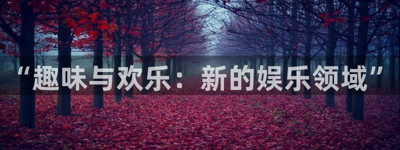 国际东升：“趣味与欢乐：新的娱乐领域”