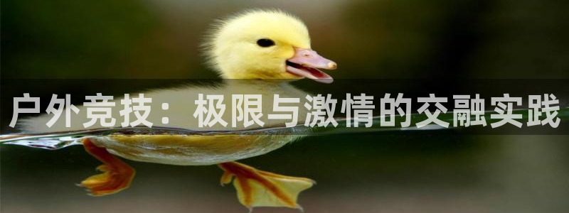 ds6cc东升国际官网入口：户外竞技：极限与激情的交融实践