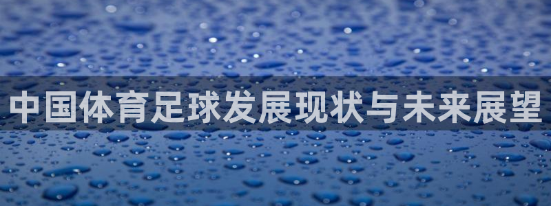 东升国际注册登录入口下载：中国体育足球发展现状与未来展望