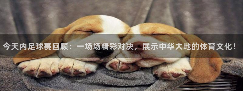 东升国际平台app官网：今天内足球赛回顾：一场场精彩对决，展示中华大地的体育文化！