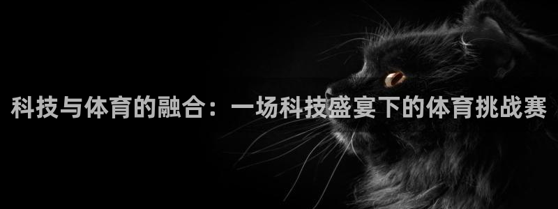 东升国际pg：科技与体育的融合：一场科技盛宴下的体育挑战赛