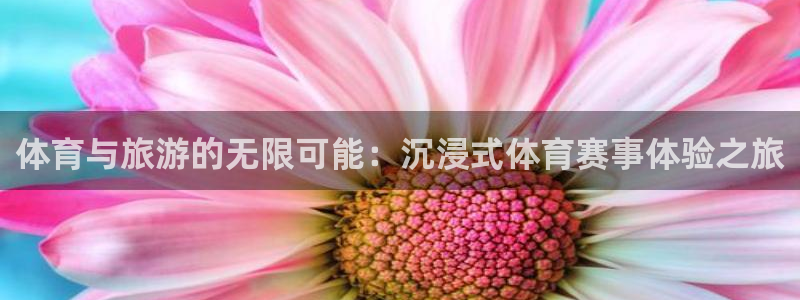 国际东升pg官网注册入口：体育与旅游的无限可能：沉浸式体育赛事体验之旅